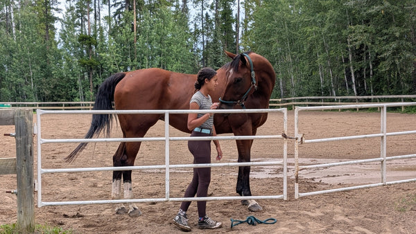 The Tack Rack Is Now Online!